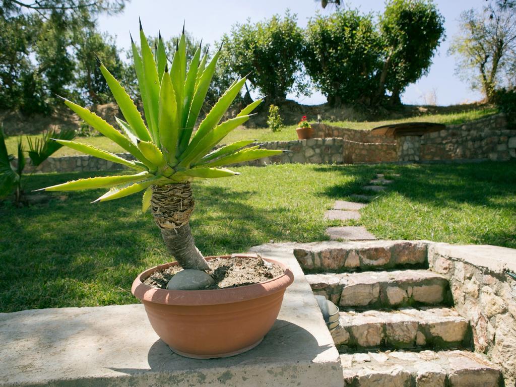 Villa Russelia Kalavárda المظهر الخارجي الصورة